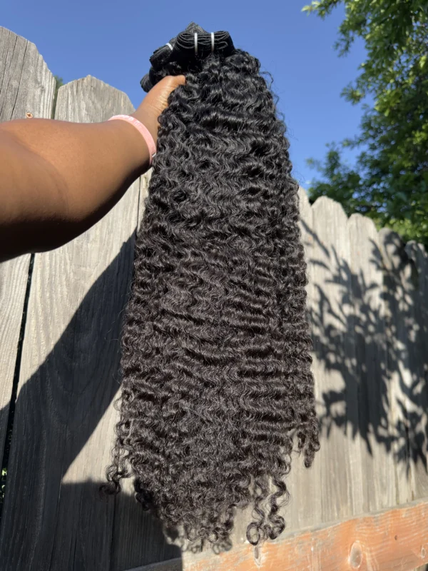 Raw Burmese